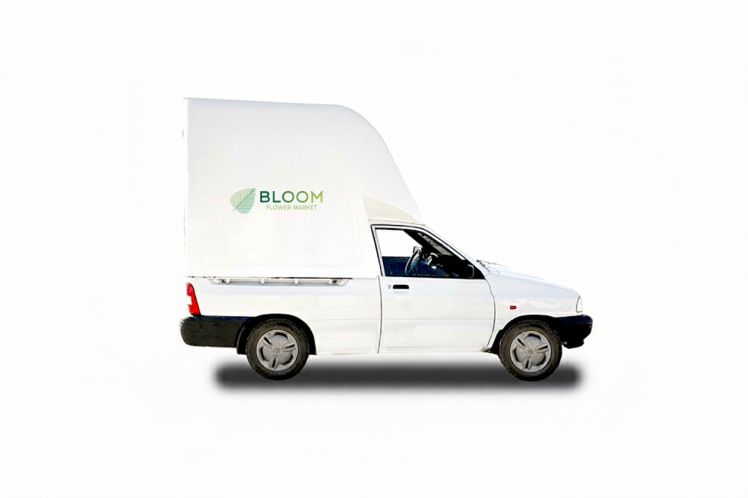 حمل و نقل / اجرا در محل